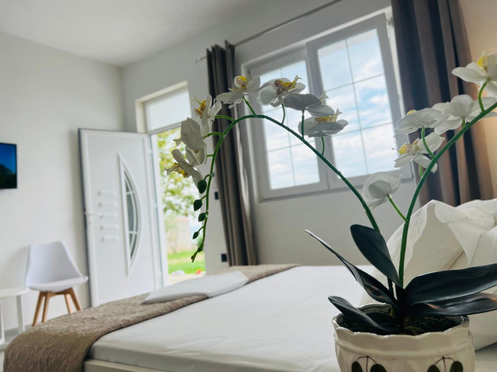 Iart Residence Široka Kültér fotó
